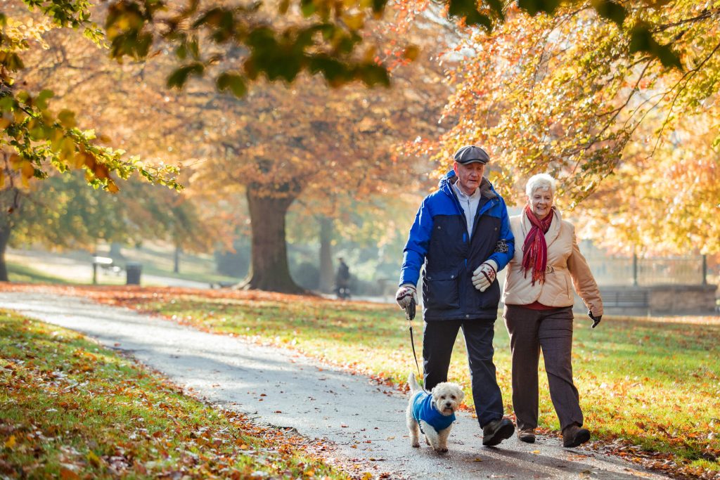 Senior man and woman couple on a walk in the park with their dog